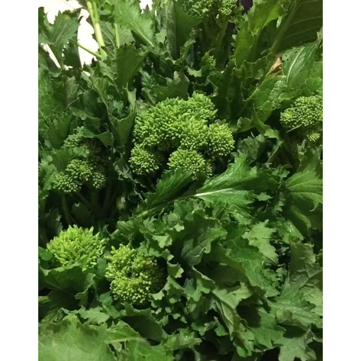 CIMA DI RAPA 50ina 500gr