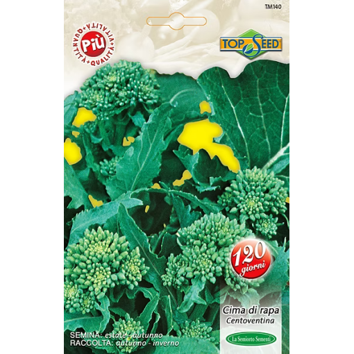 CIMA DI RAPA 120INA 500gr