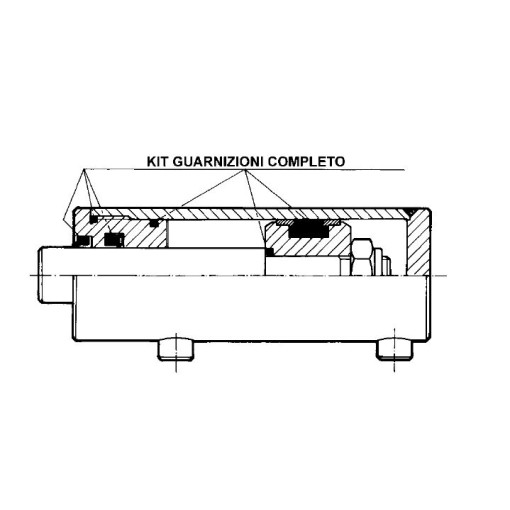 kit guarnizione cilindro AL100-ST50