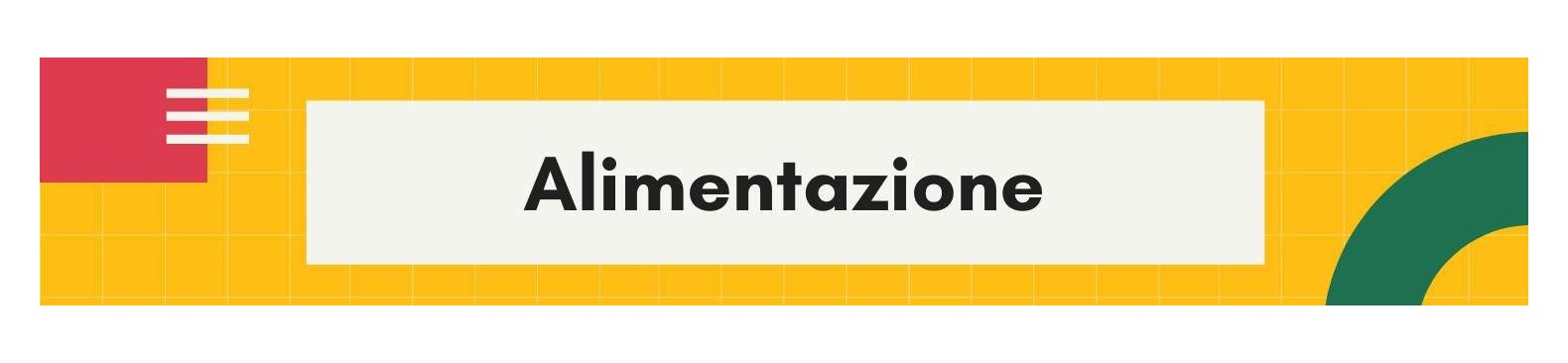 Alimentazione